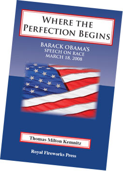 Cover of Where the Perfection Begins